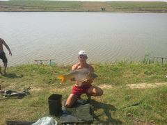 Sustra 2012 jud Timis